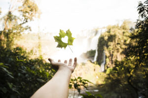 Direito Ambiental em Foco: Caminhos Legais para a Sustentabilidade