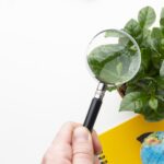 Laudo Ambiental: Quando é Necessário Elaborar um?