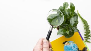Laudo Ambiental: Quando é Necessário Elaborar um?