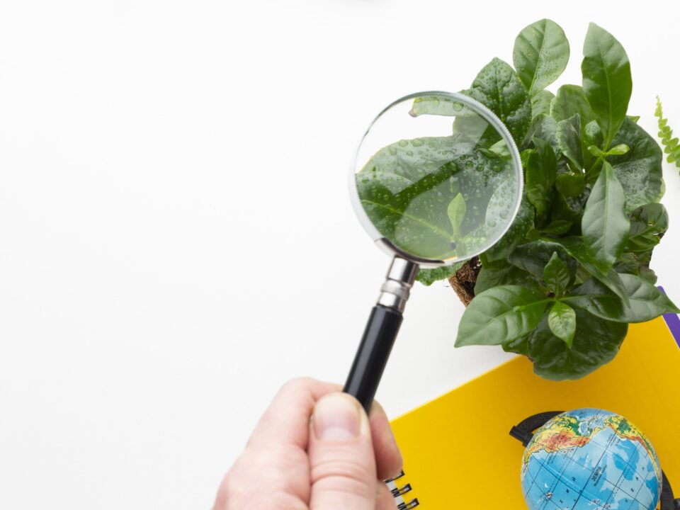 Laudo Ambiental: Quando é Necessário Elaborar um?